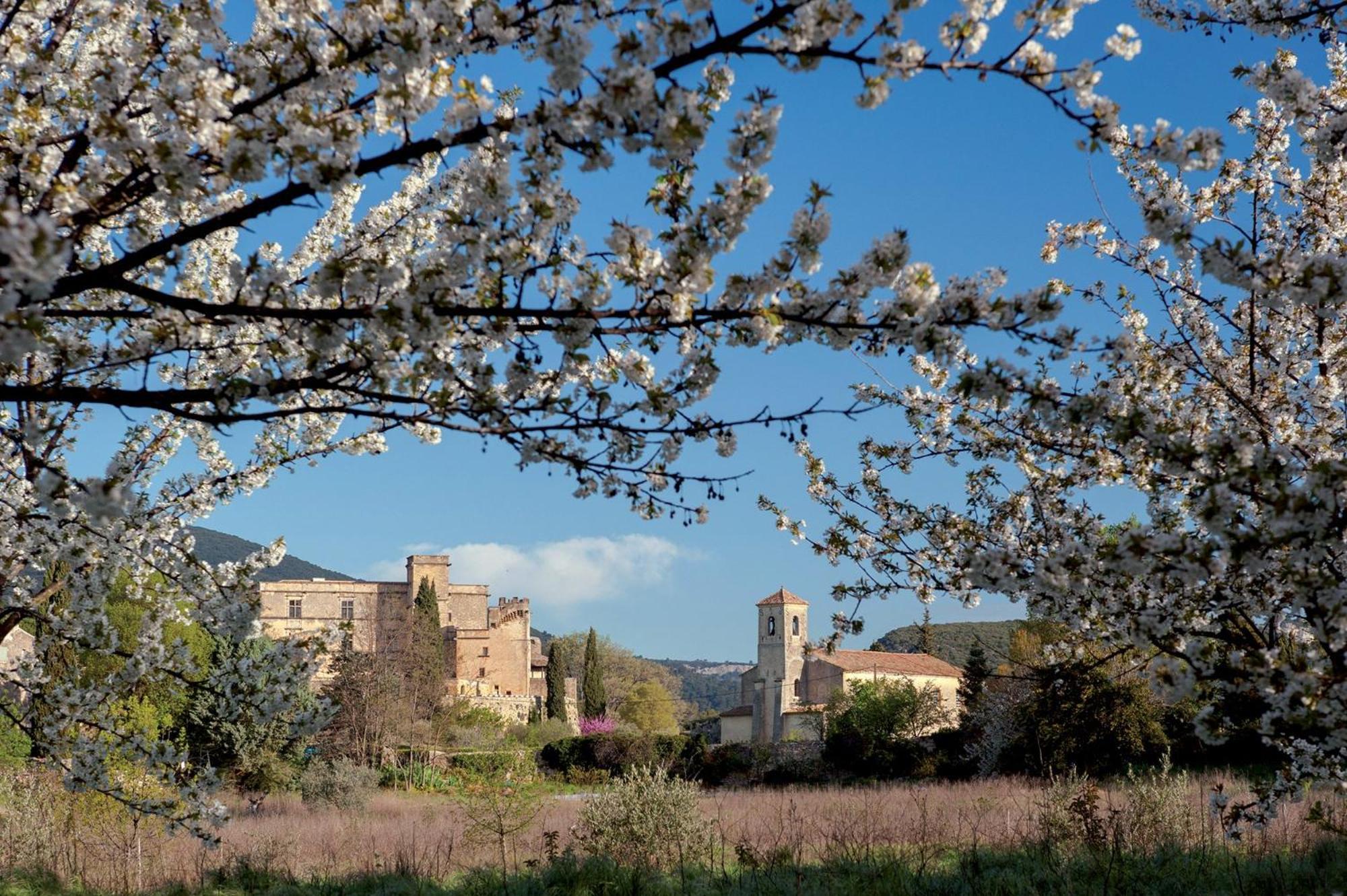 Apartamento L'Amaryflor Vaugines Exterior foto